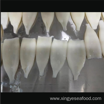 Frozen Squid Products Illex Argentinus Squid Tubes